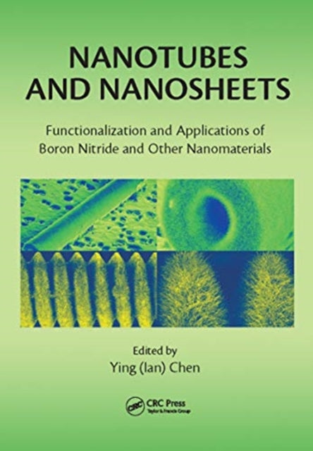 Nanotubes and Nanosheets: Functionalization and Applications of Boron Nitride and Other Nanomaterials