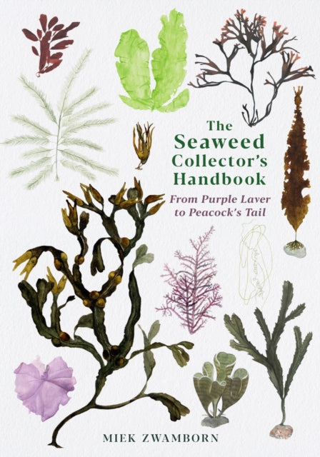 Seaweed Collector's Handbook: From Purple Laver to Peacock's Tail