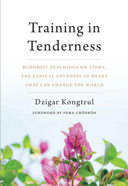 Training in Tenderness: Buddhist Teachings on Tsewa, the Radical Openness of Heart That Can Change the World