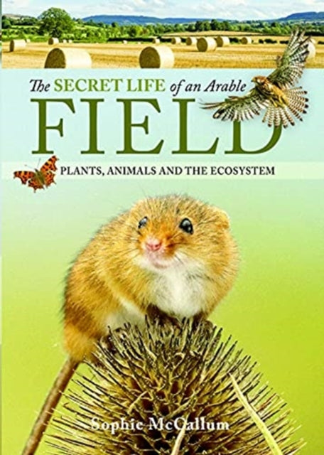 Secret Life of an Arable Field: Plants, Animals and the Ecosystem