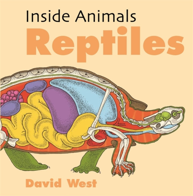 Reptiles