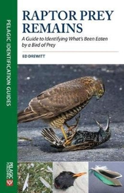 Raptor Prey Remains: A Guide to Identifying What's Been Eaten by a Bird of Prey