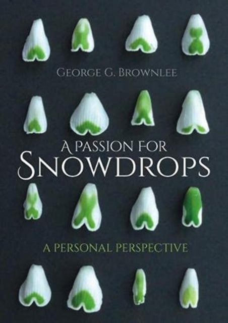 Passion for Snowdrops: a personal perspective