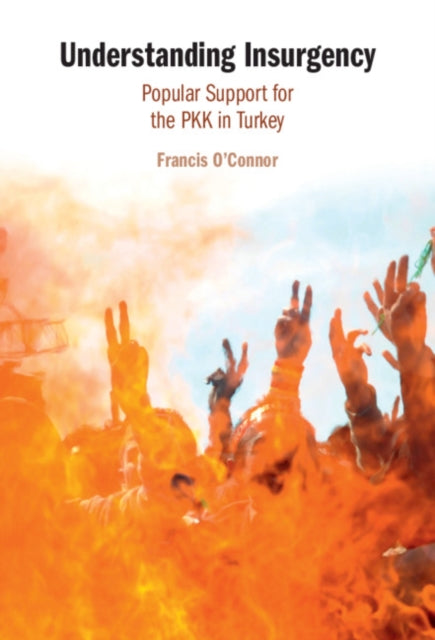 Understanding Insurgency: Popular Support for the PKK in Turkey