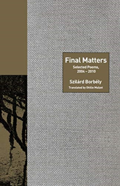 Final Matters: Selected Poems, 2004-2010