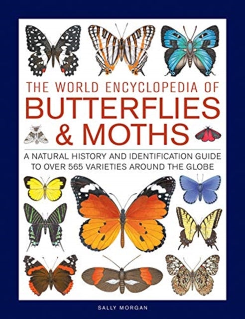 Butterflies & Moths, The World Encyclopedia of: A natural history and identification guide to over 565 varieties around the globe