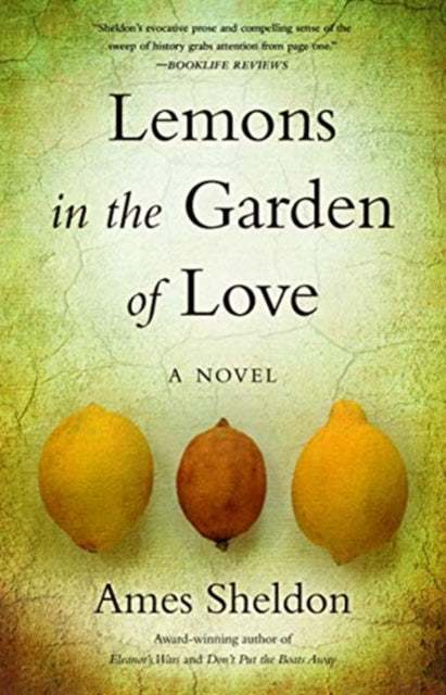 Kicking and Screaming: A Memoir of Madness and Martial Arts