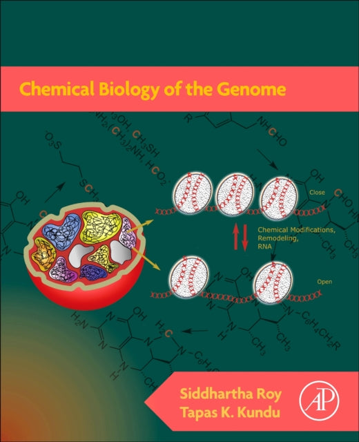 Chemical Biology of the Genome