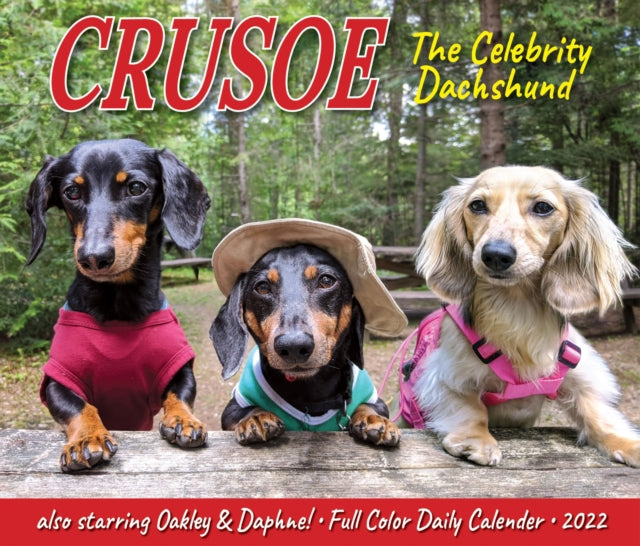 Crusoe the Celebrity Dachshund 2022 Box Calendar, Daily Desktop