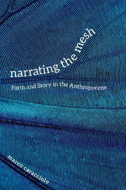 Narrating the Mesh: Form and Story in the Anthropocene