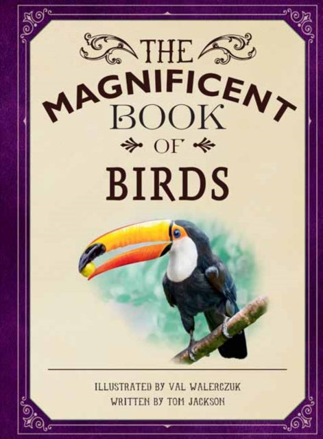 Magnificent Book of Birds