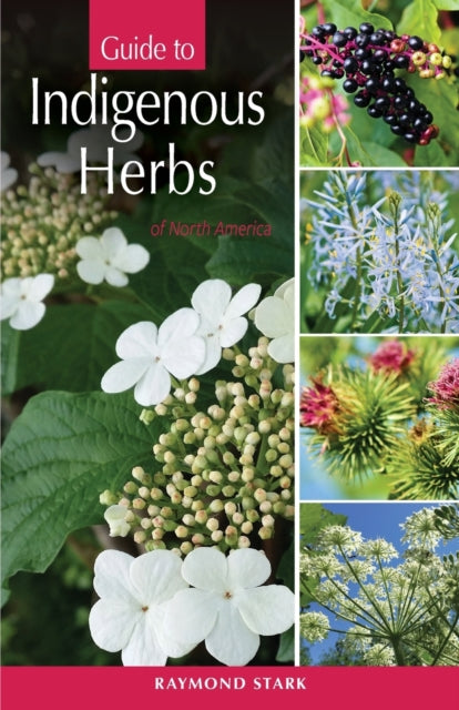 Guide to Indian Herbs