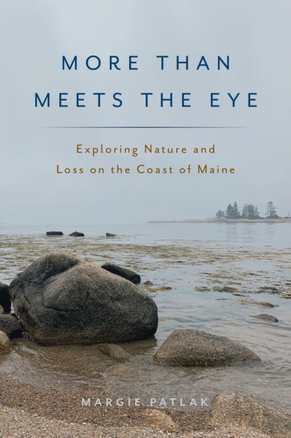 More Than Meets the Eye: Exploring Nature and Loss on the Coast of Maine