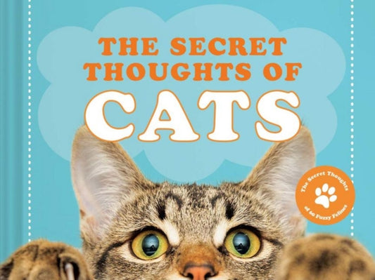 The Secret Thoughts of Cats