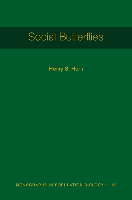 Social Butterflies