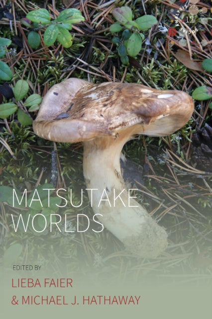 Matsutake Worlds