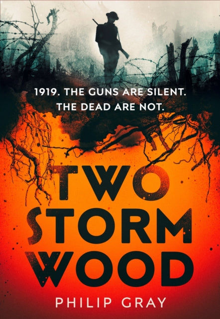 Two Storm Wood: the must-read historical thriller and the Times Book of the Month