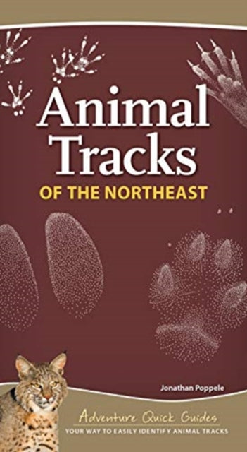 Animal Tracks of the Northeast: Your Way to Easily Identify Animal Tracks