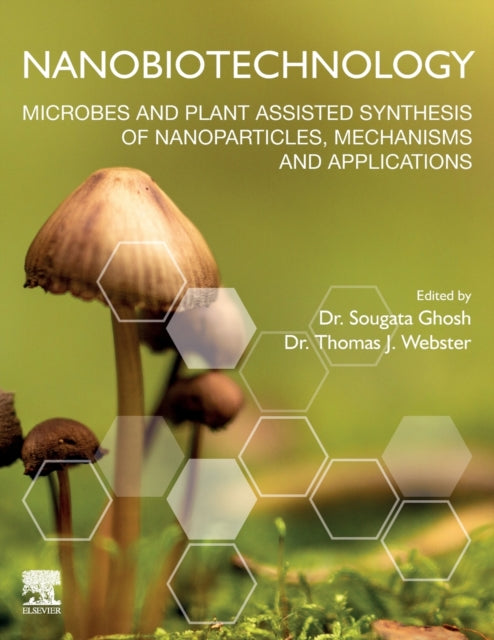 Nanobiotechnology: Microbes and Plant Assisted Synthesis of Nanoparticles, Mechanisms and Applications