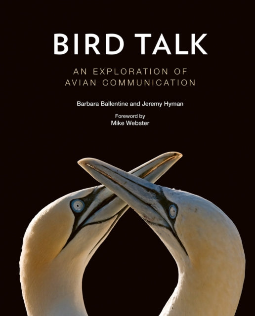 Bird Talk: An Exploration of Avian Communication