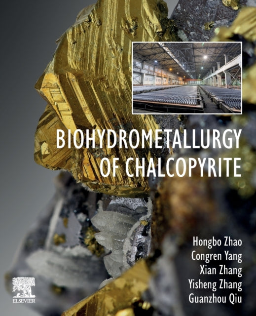 Biohydrometallurgy of Chalcopyrite