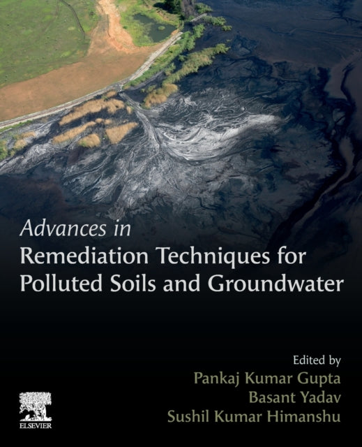 Advances in Remediation Techniques for Polluted Soils and Groundwater