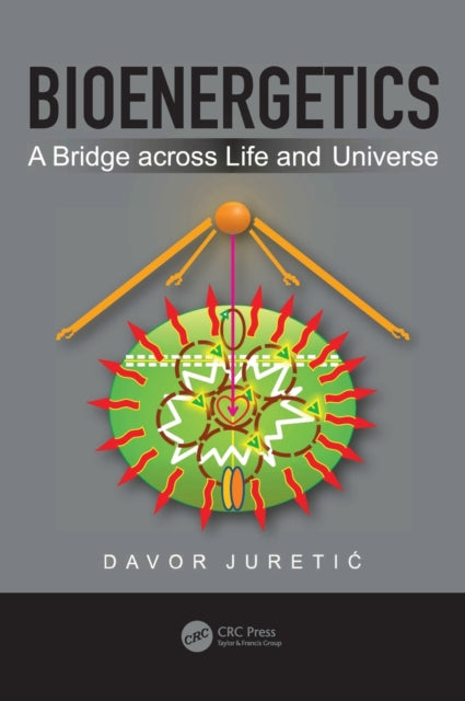 Bioenergetics: A Bridge across Life and Universe