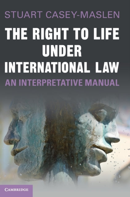 The Right to Life under International Law: An Interpretative Manual