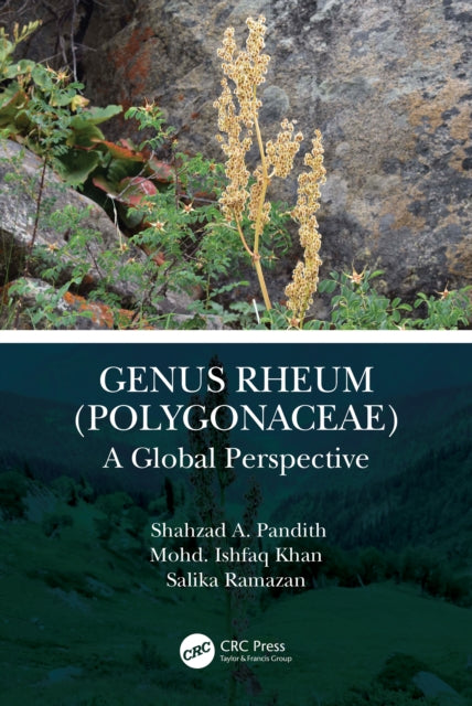 Genus Rheum (Polygonaceae): A Global Perspective