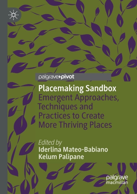 Placemaking Sandbox: Emergent Approaches, Techniques and Practices to Create More Thriving Places