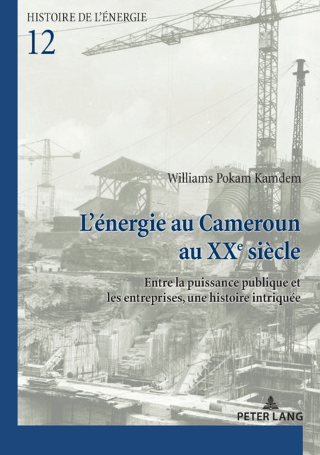 L'energie au Cameroun au XXe siecle; Entre la puissance publique et les entreprises, une histoire intriquee