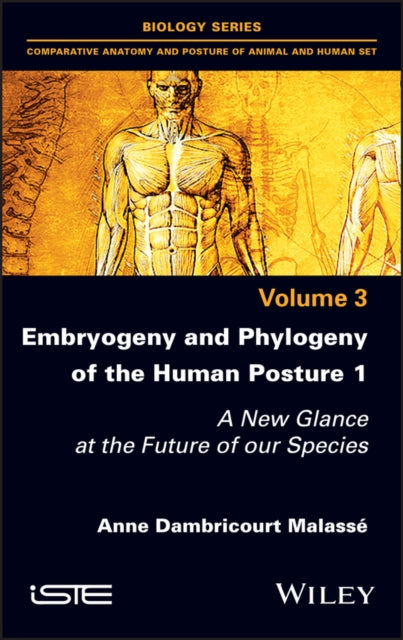 Embryogeny and Phylogeny of the Human Posture 1: A New Glance at the Future of our Species