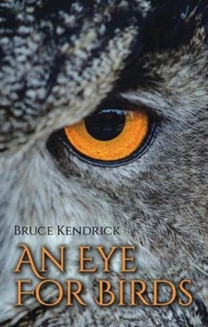 An Eye for Birds