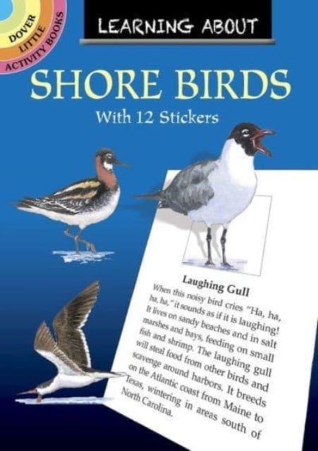 Learning About Shorebirds