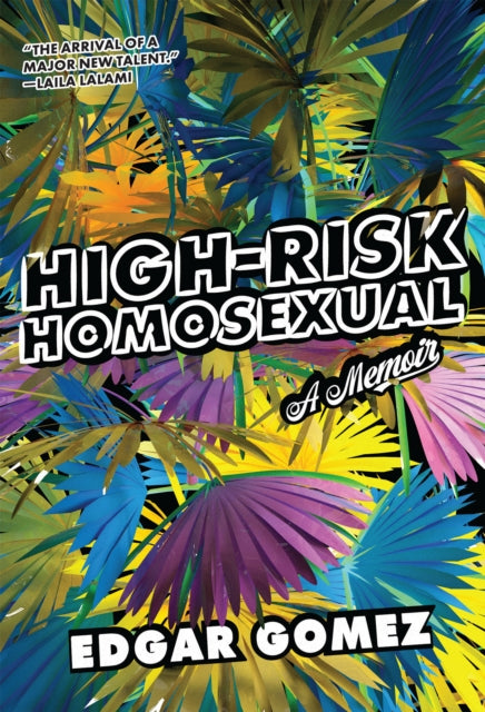 High-risk Homosexual: A Memoir