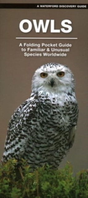 Owls: A Folding Pocket Guide to Familiar Species Worldwide
