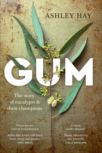 Gum: The story of eucalypts & their champions