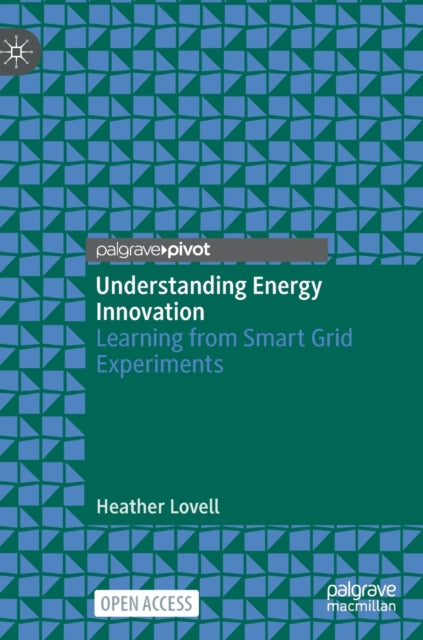 Understanding Energy Innovation: Learning from Smart Grid Experiments