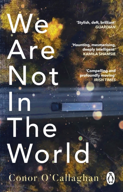 We Are Not in the World: 'compelling and profoundly moving' Irish Times