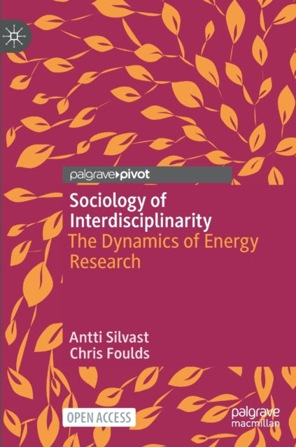 Sociology of Interdisciplinarity: The Dynamics of Energy Research