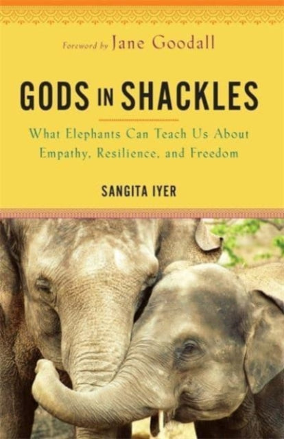 Gods in Shackles: What Elephants Can Teach Us About Empathy, Resilience and Freedom