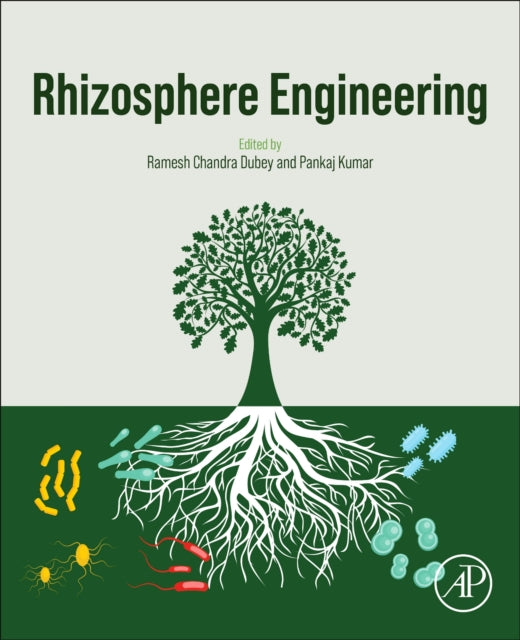 Rhizosphere Engineering