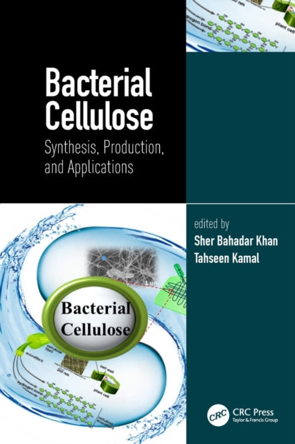 Bacterial Cellulose: Synthesis, Production, and Applications