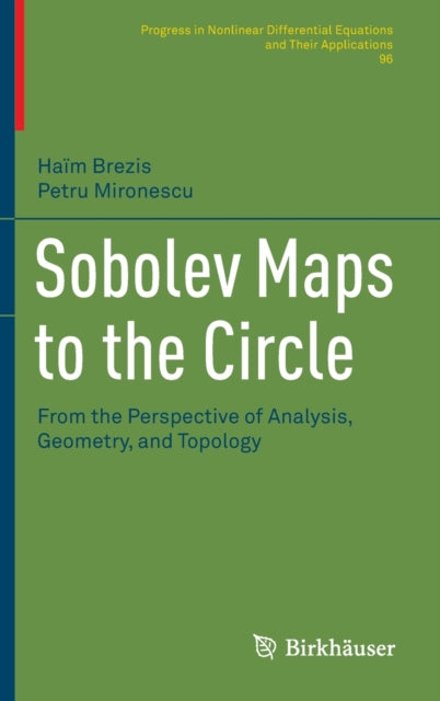 Sobolev Maps to the Circle: From the Perspective of Analysis, Geometry, and Topology