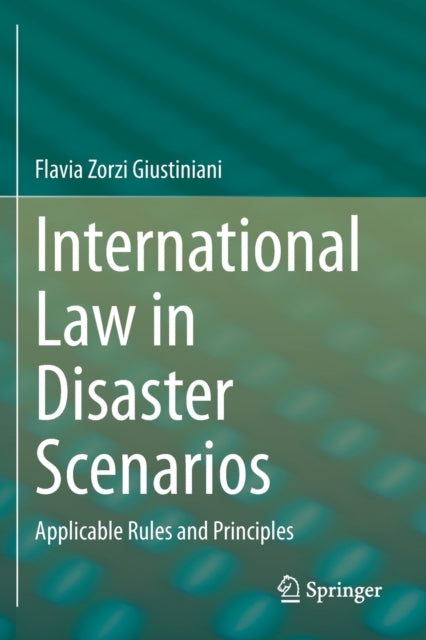 International Law in Disaster Scenarios: Applicable Rules and Principles