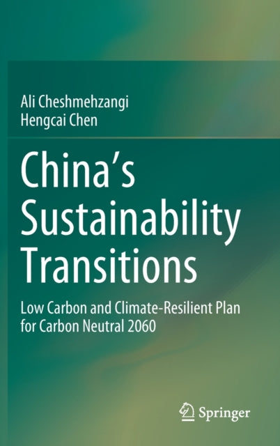 China's Sustainability Transitions: Low Carbon and Climate-Resilient Plan for Carbon Neutral 2060