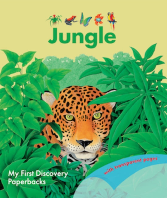 The Jungle