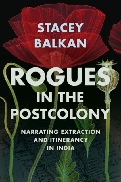 Rogues in the Postcolony: Narrating Extraction and Itinerancy in India