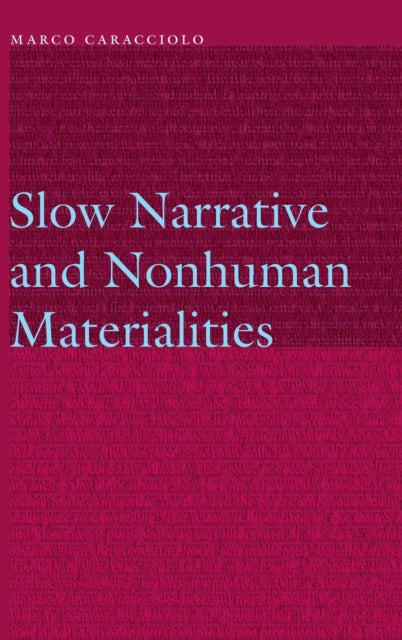 Slow Narrative and Nonhuman Materialities