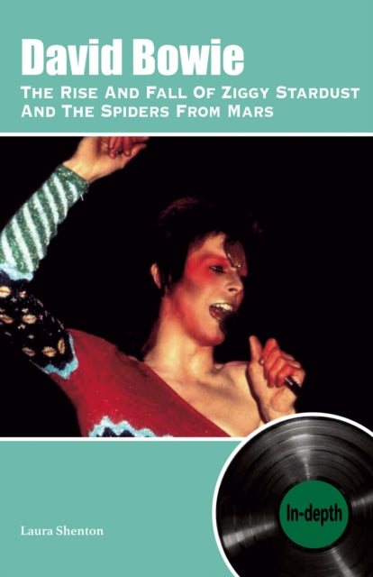 David Bowie The Rise And Fall Of Ziggy Stardust And The Spiders From Mars: In-depth